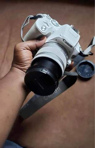 A picture of Canon EOS 250D