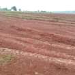 A picture of Prime plots on sale in heart ok nsangu kasenge