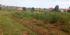 A picture of New located Bombo site power on site Plot size 100by50ft