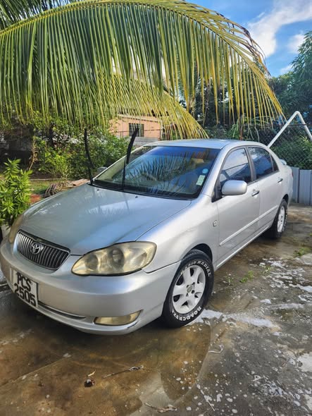 toyota altis