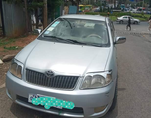 used toyota corolla