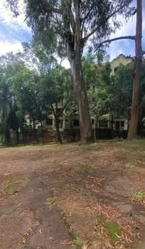 A picture of GOSHEN REAL ESTATE 