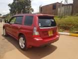 A picture of Forester 2006