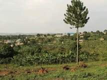A picture of Bombo kalule installments allowed