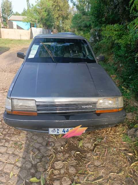 cars