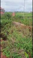 A picture of Land