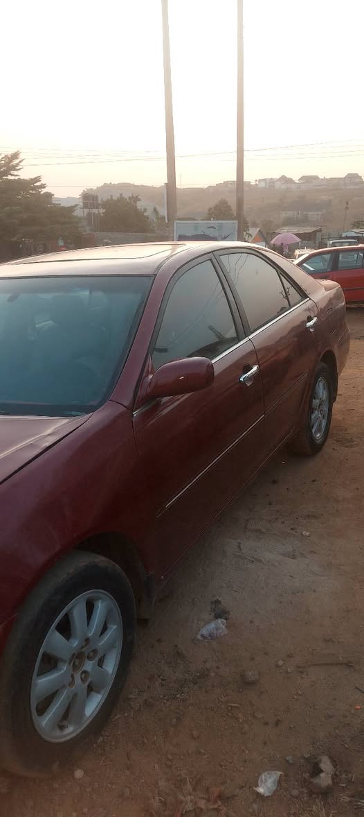 A picture of Camry Big daddy