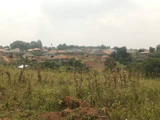 A picture of 7m Quick sale 7m 40by40ft matugga just 1km along matugga