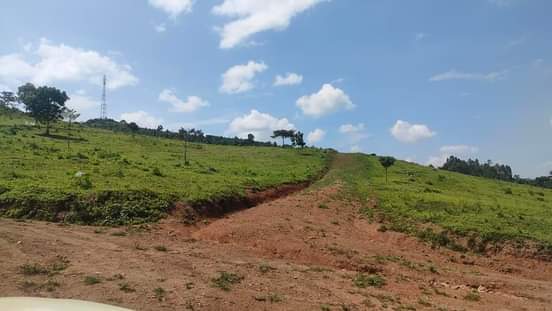 houses hoima