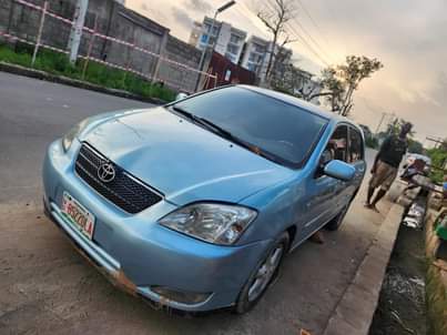 A picture of hottest deal at the moment TOYOTA COROLLA AKA OBAMA 2005