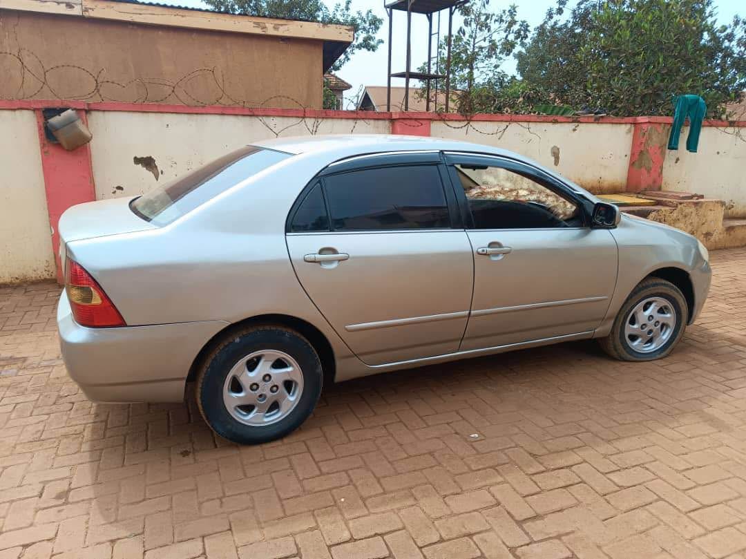 A picture of Corolla