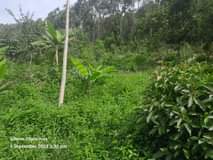 A picture of 50 100 at Wakiso Bakka on sale 6M contact me