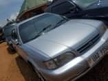 A picture of Corsa