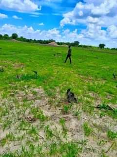 mwembeshi