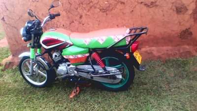 tvs hlx