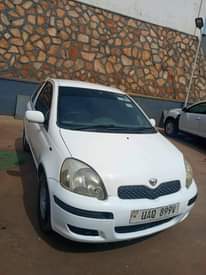 A picture of Vitz
