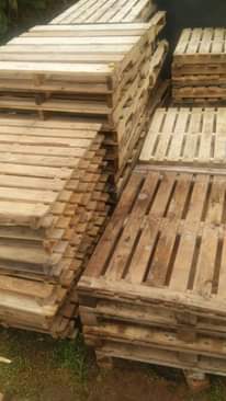 A picture of Wood pine pallets from Spain