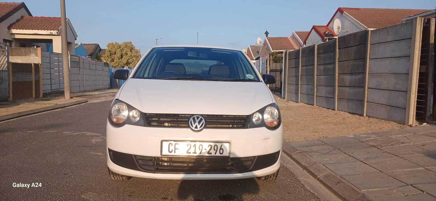 polo vivo