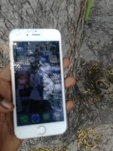 A picture of Iphone 6plain