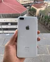 Apple K.