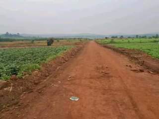 A picture of Plots for sale with ready land title starting at 12m.