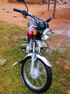 A picture of 2022 India Bajaj Boxer