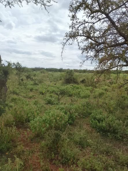 plots kajiado