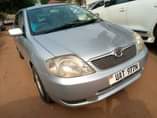 A picture of TOYOTA ALLEX