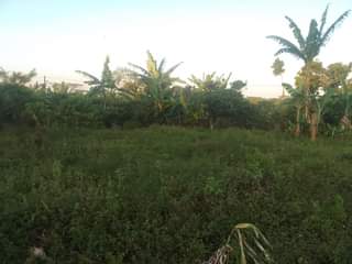 A picture of 180ft by 90ft for sale by owner in kisoga along