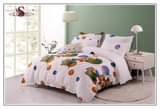 A picture of Bedsheet