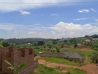 A picture of Land