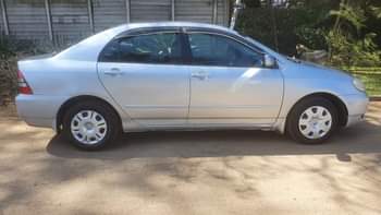 used toyota corolla