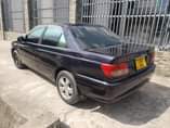 A picture of Carina sl