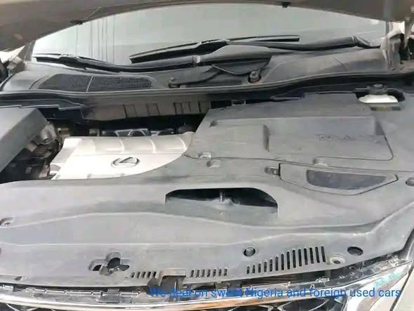 A picture of 2010 Rx 350 2010 model
