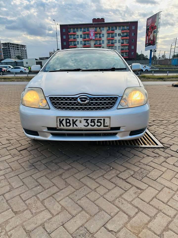cars
