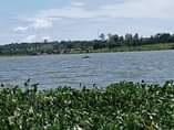 A picture of 5 Acres Private MAILO Land touching shores of Lake Victoria