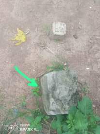 A picture of KIWANJA CHANIKA