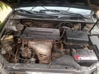 A picture of Camry big daddy