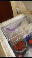 A picture of Deep freezer 