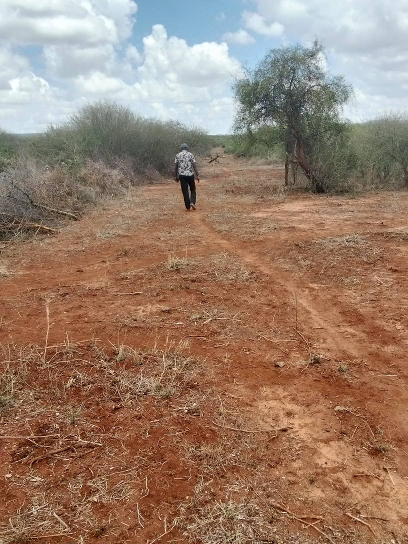 agricultural
