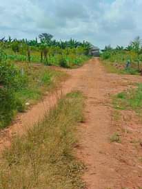 A picture of QUICK SALE SALE in Nsagu on Nakawuka road