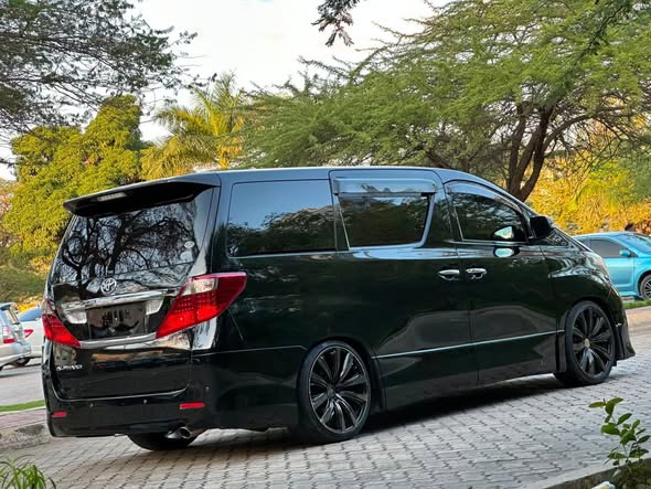 A picture of TOYOTA ALPHARD