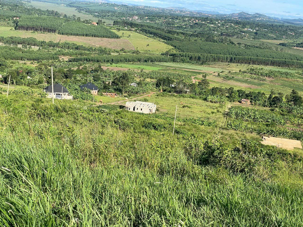 A picture of PRIME ESTATE LOCATED WAKISO KAKIRI