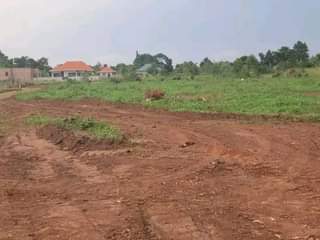 A picture of Nkowe wakiso_ Estate Each plot goes at 25m. With ready