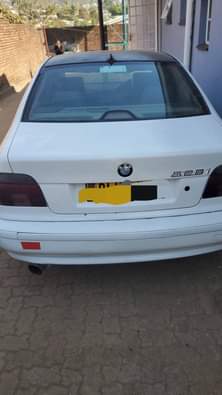 bmw 523i