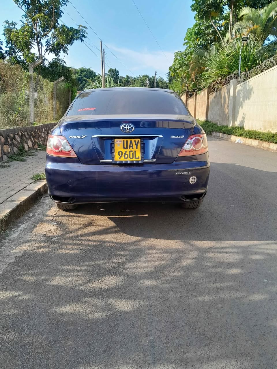 Blema C.