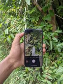 A picture of IPhone X