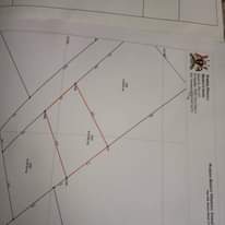 A picture of Land