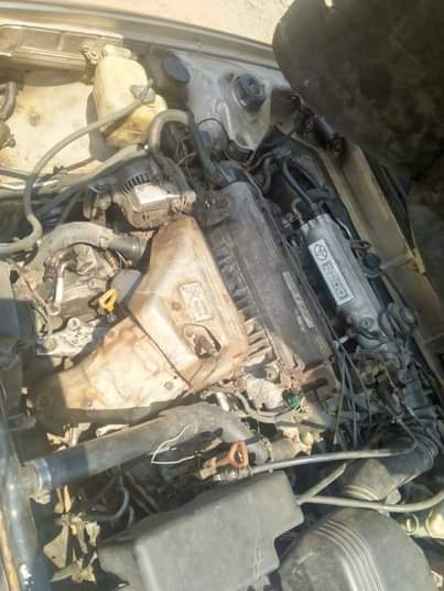 A picture of AWOOF AWOOF Owner need cash tomorrow morning as fast as