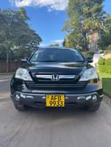 classifieds recent import